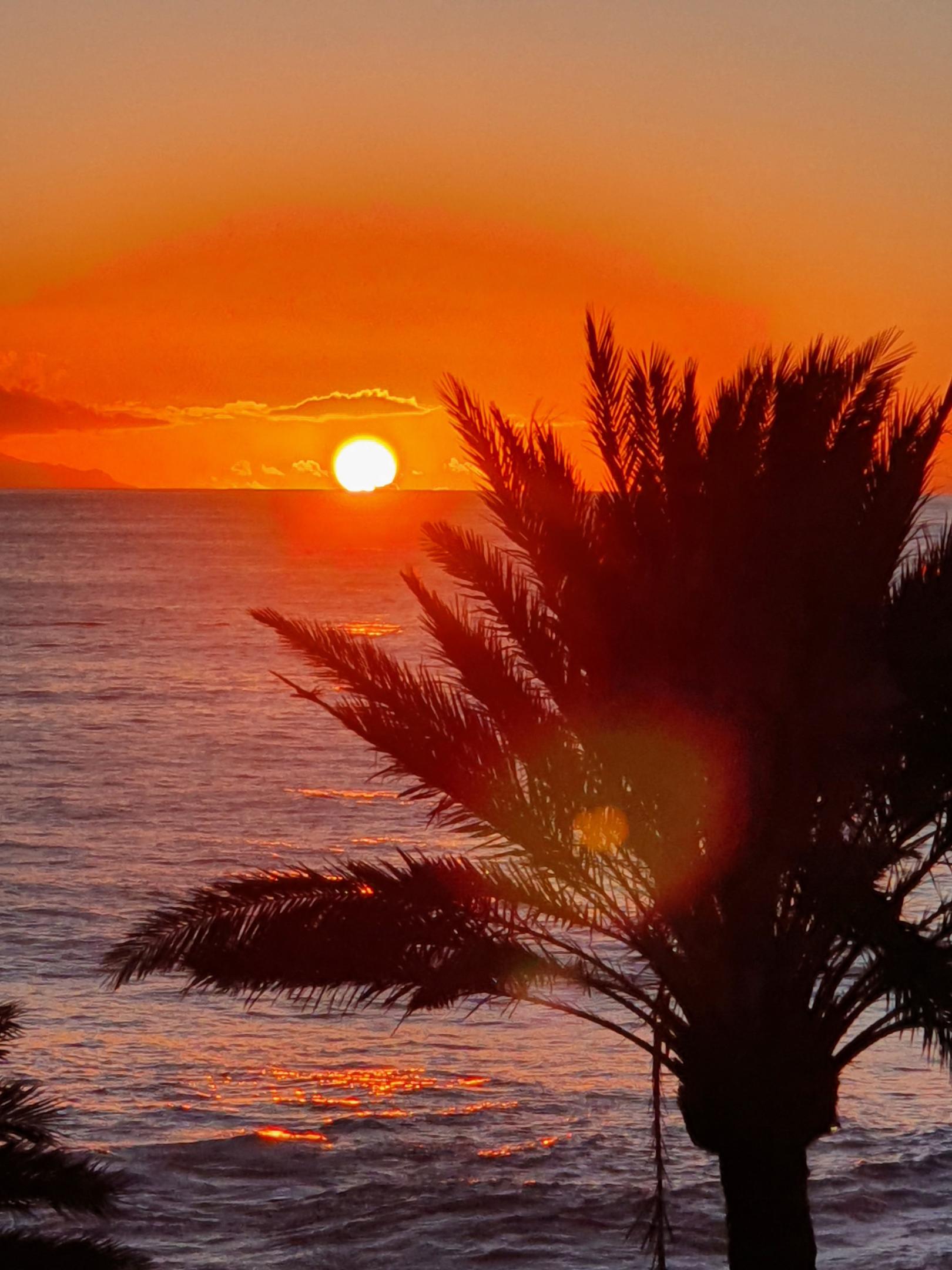 20220121_183833 (c) Stefan Damen