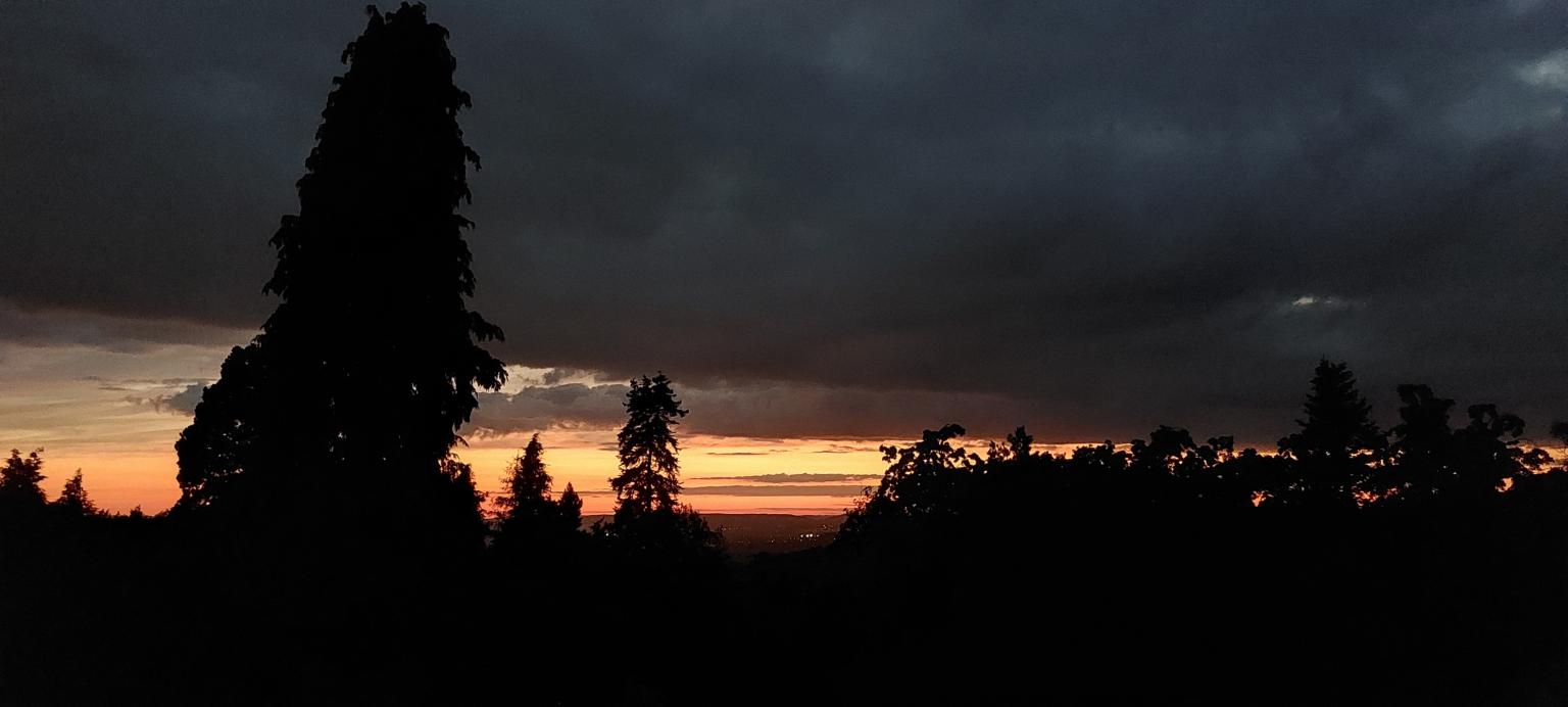 20240722_221005.jpg (c) privat