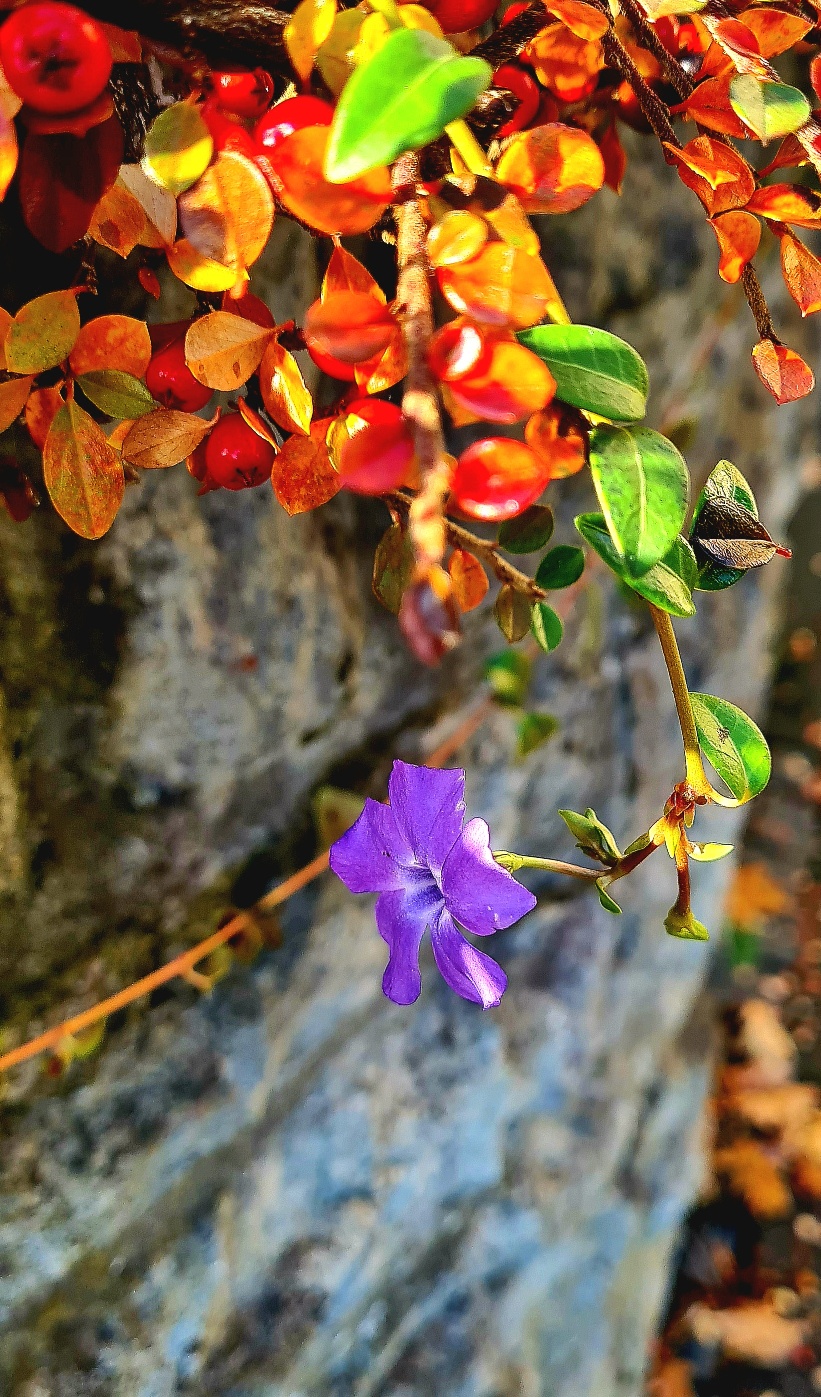 20241126_112710 (c) Beate Urban