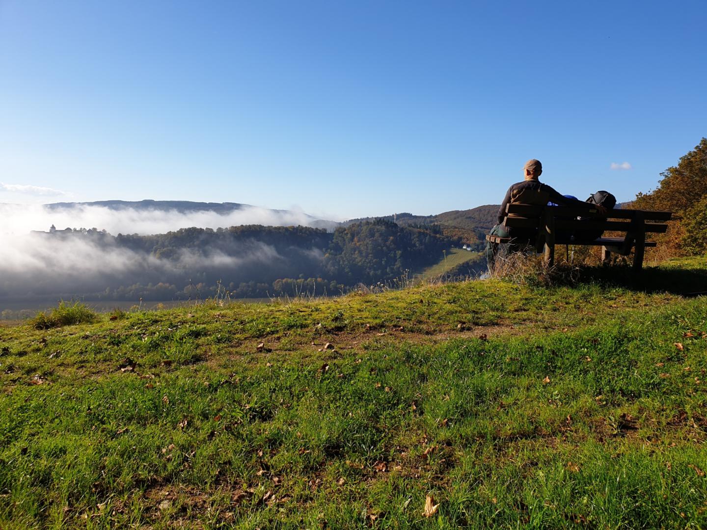 Herbstnebel (c) Markus Henz