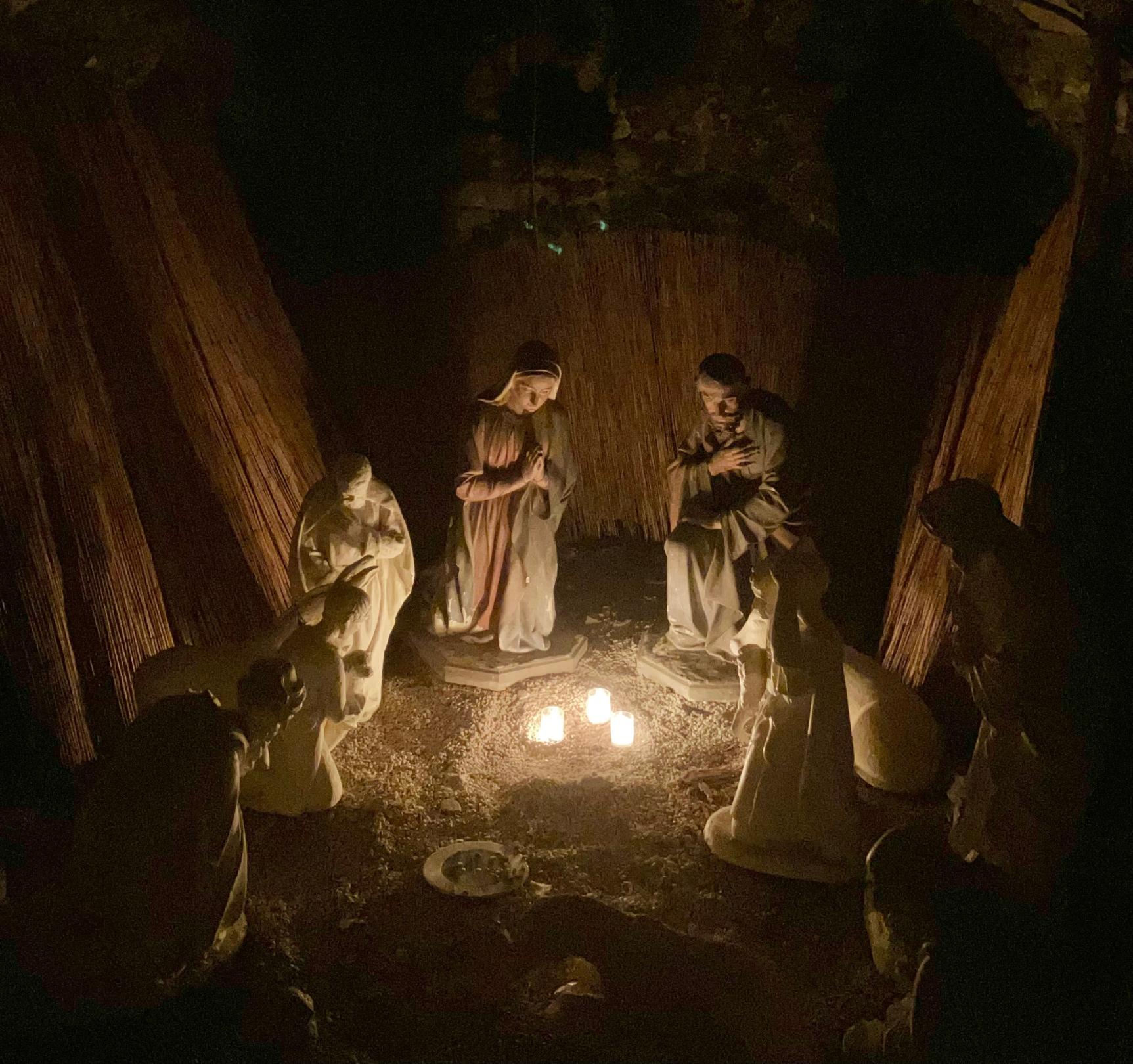 (c) Regina Lützenburg