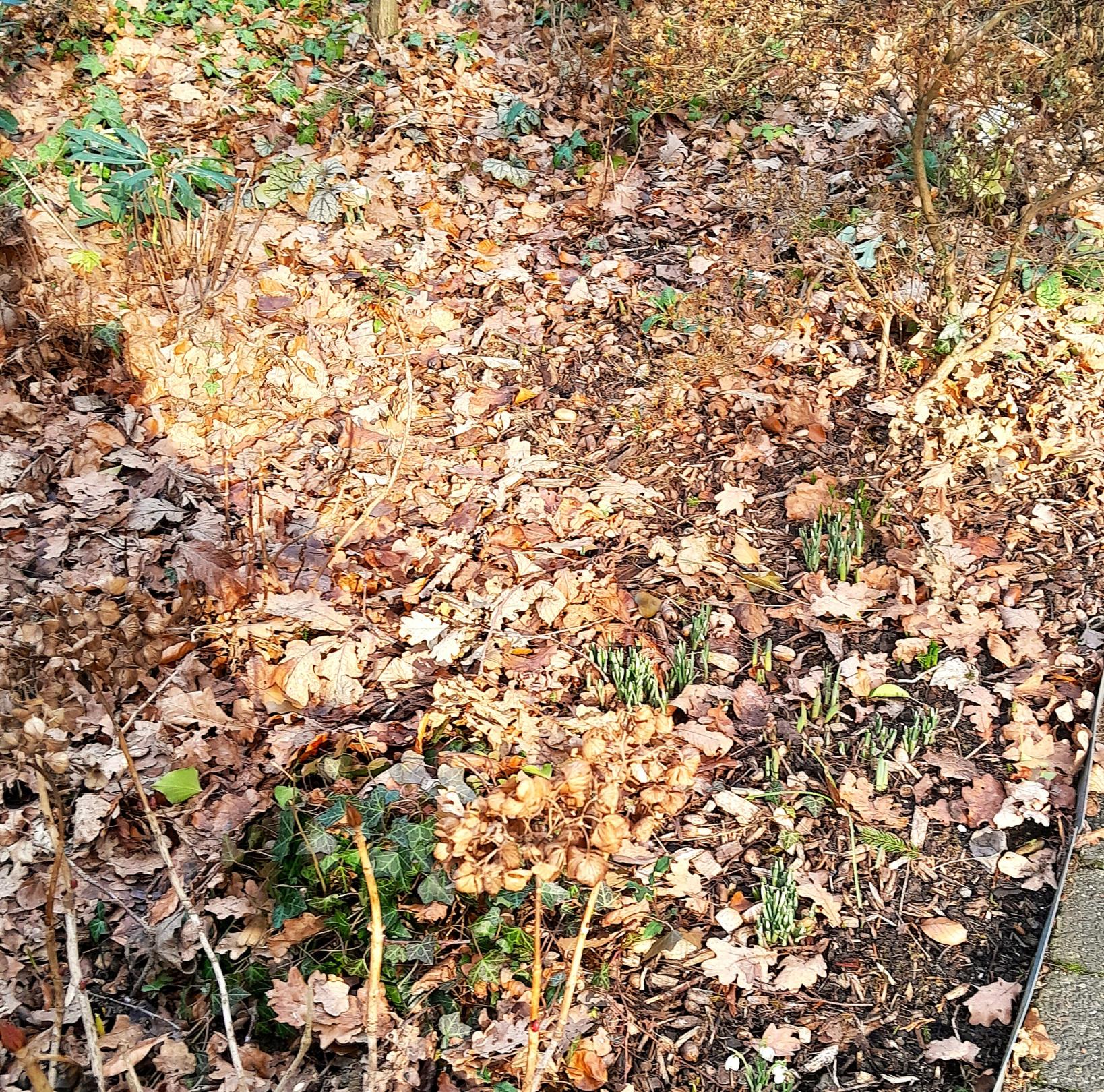 (c) Sr. Regina M. Jaskulski SPSF