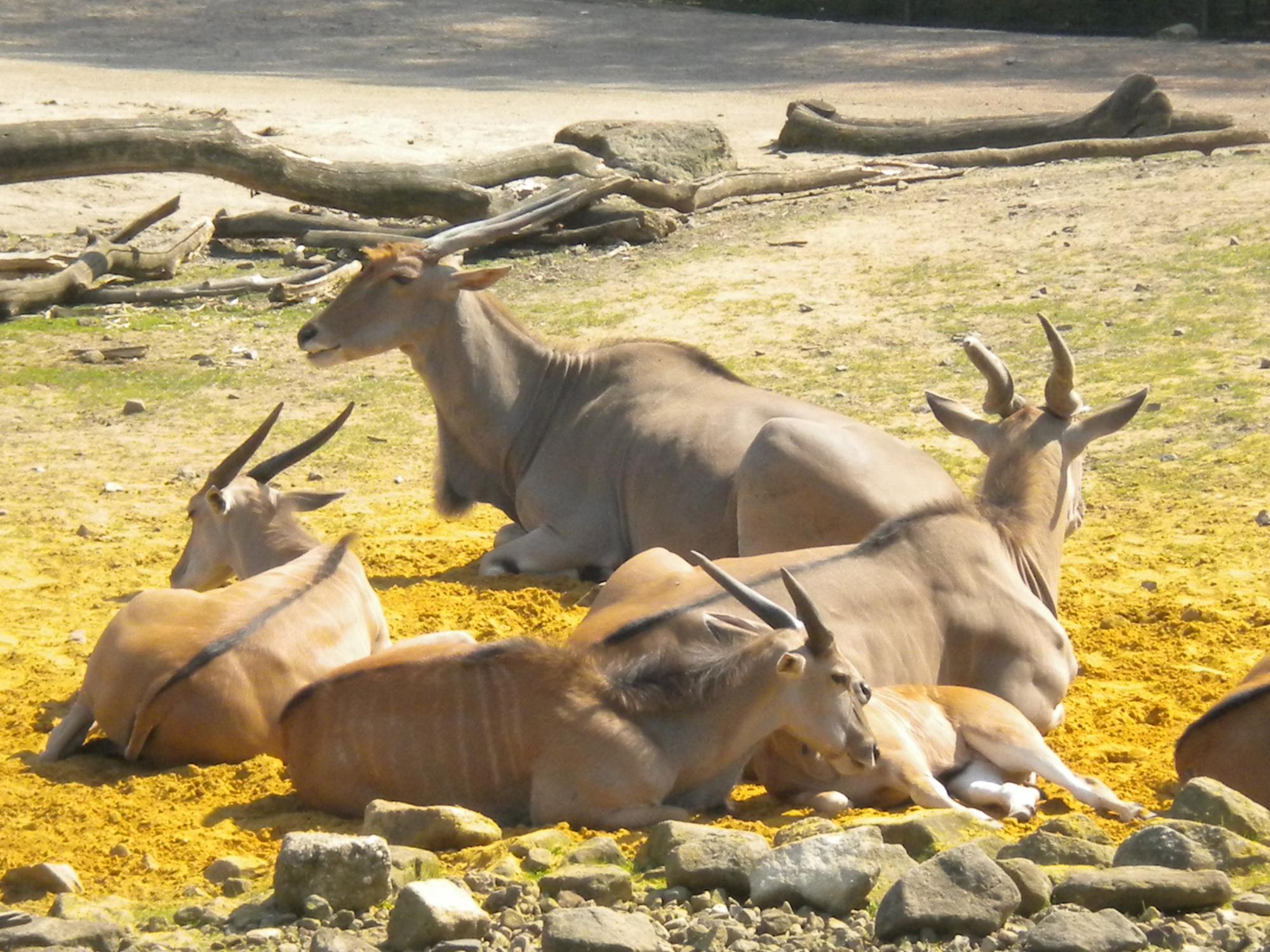 DSCN1905.jpg