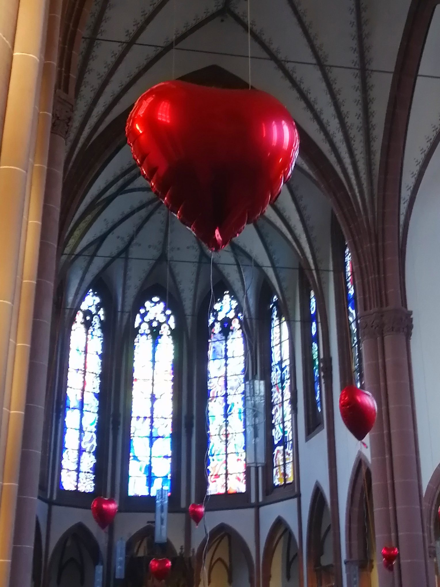 IMG_20260207_134459.jpg (c) Frank Hendriks