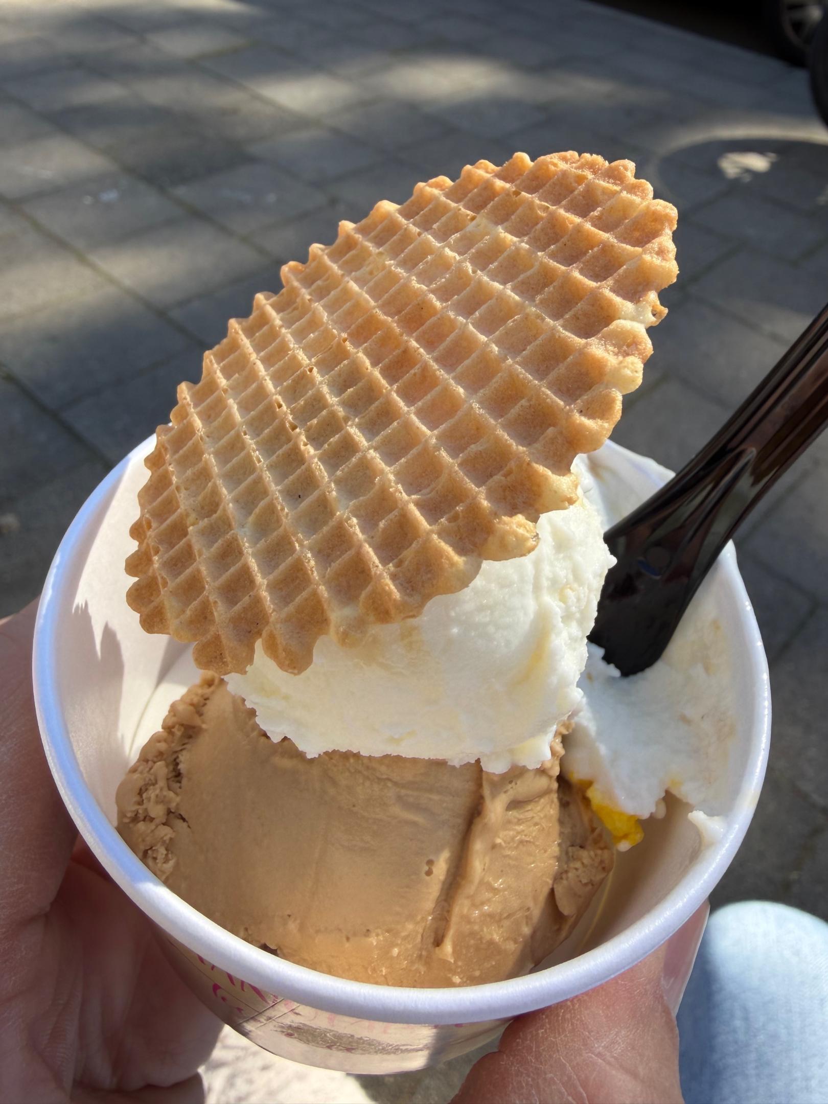 IMG_3455 (c) Christian Mourad