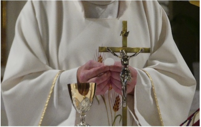 Meier190426 (c) Pixabay