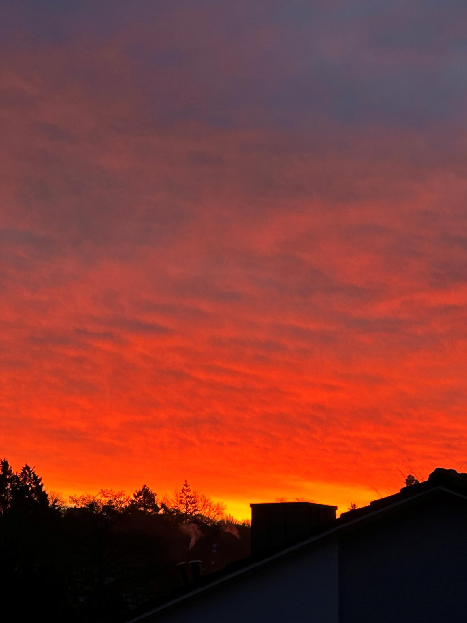 Nagel050326 (c) Regina Nagel