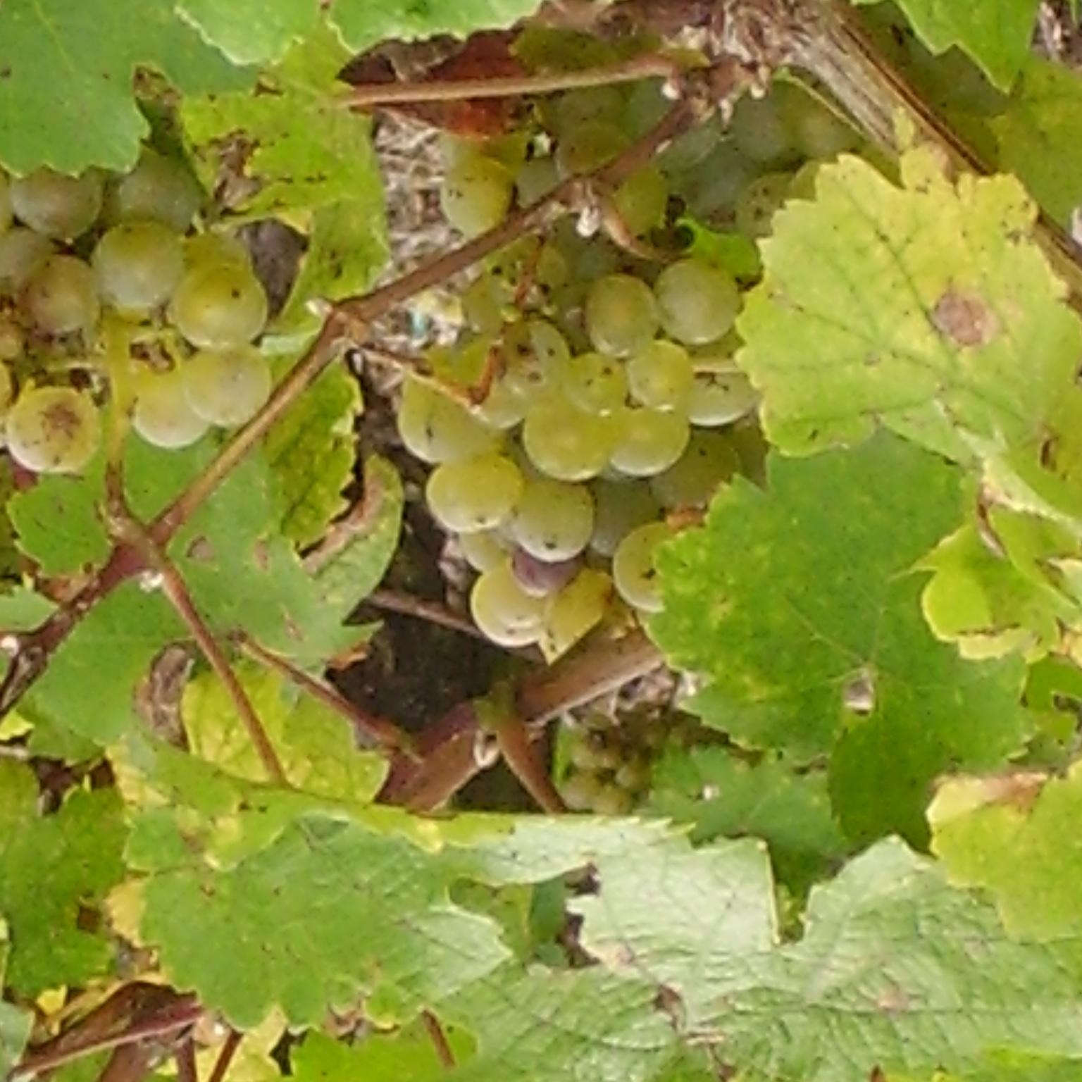 PA020089.JPG