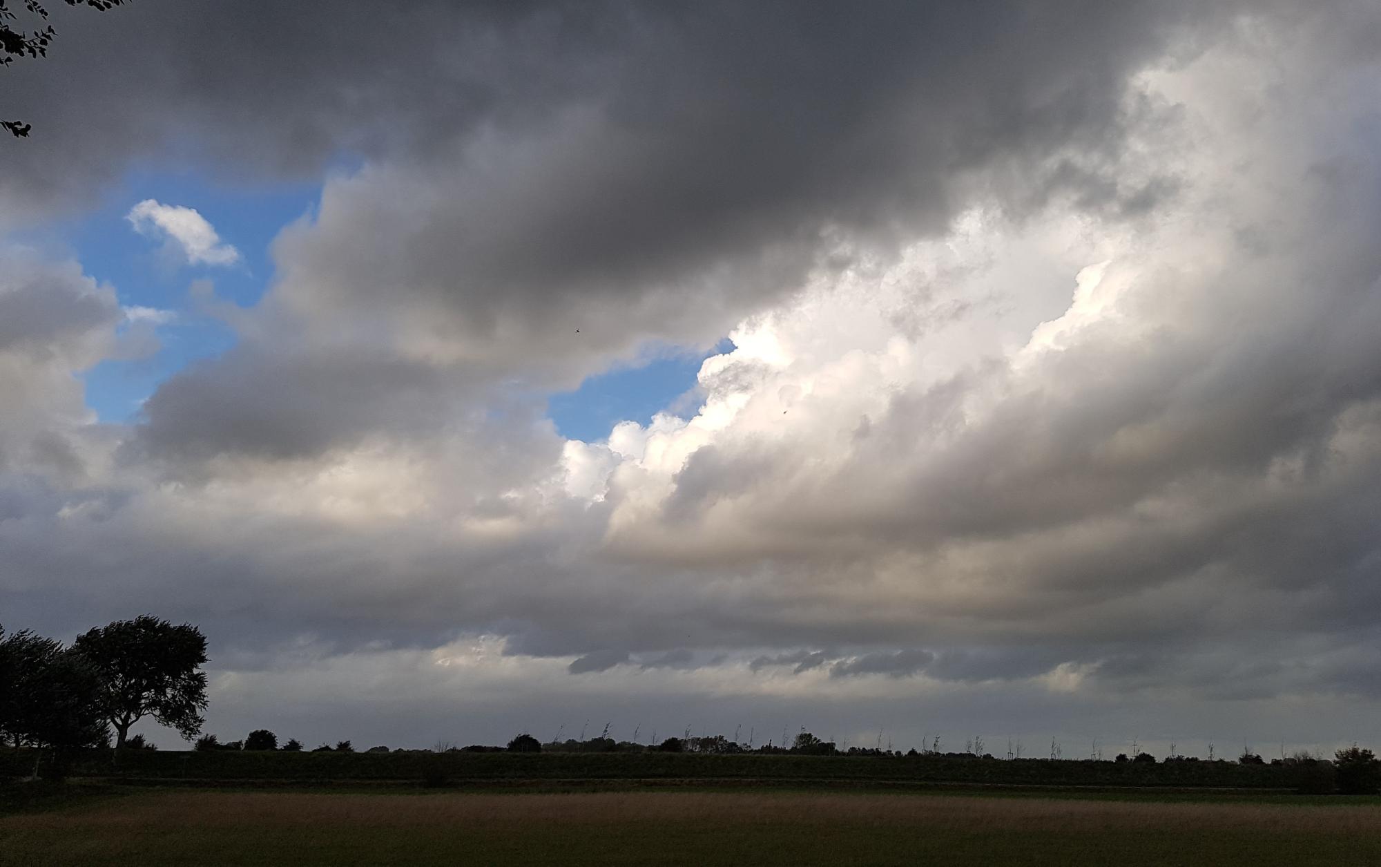 Sommer.jpg