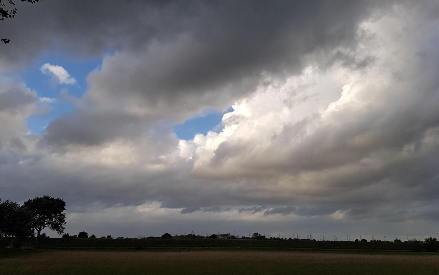 Sommer.jpg (c) Reinhild Damen