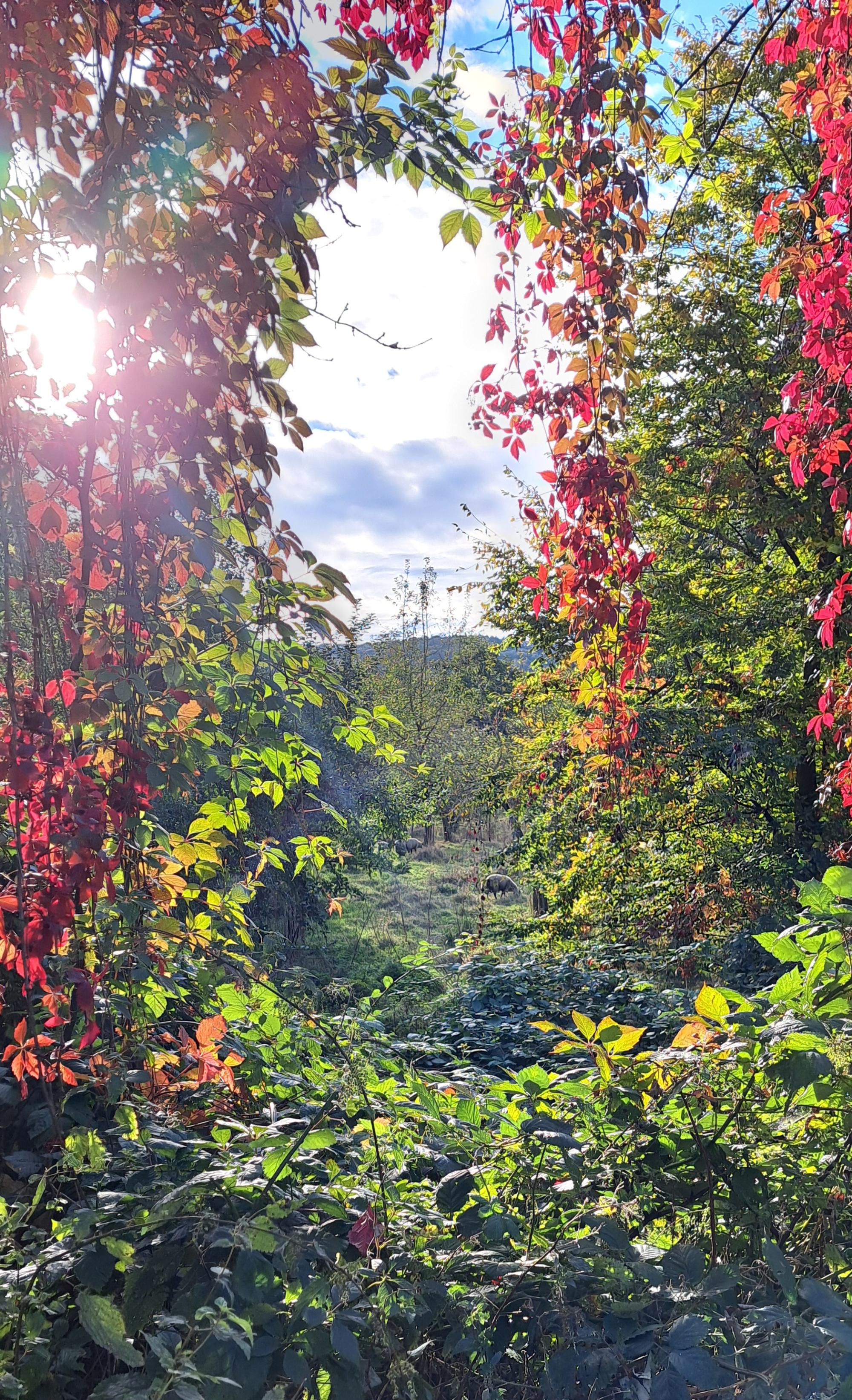 SteffensTölke141024