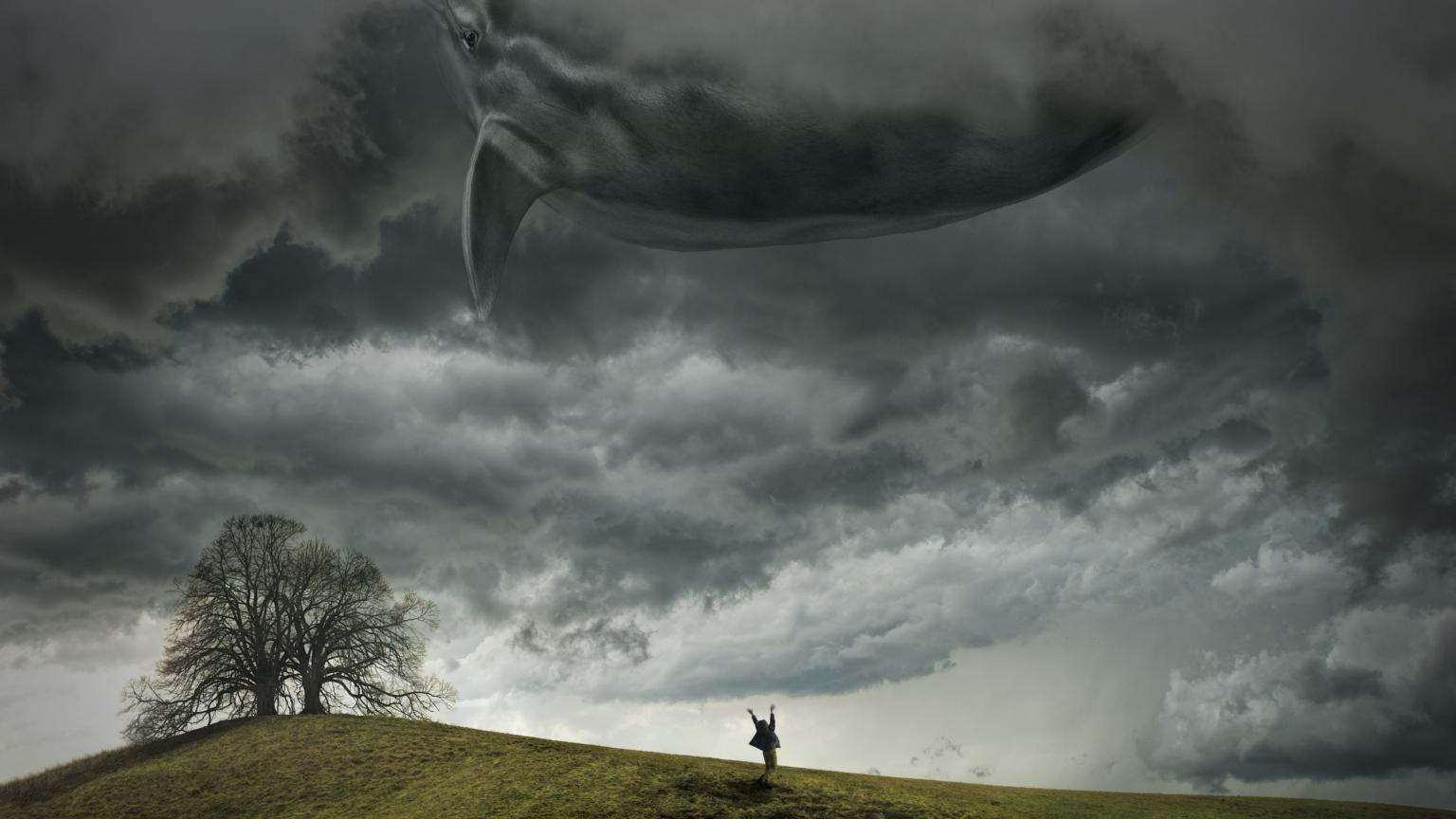 Sturm-Pixabay.jpg (c) Pixabay