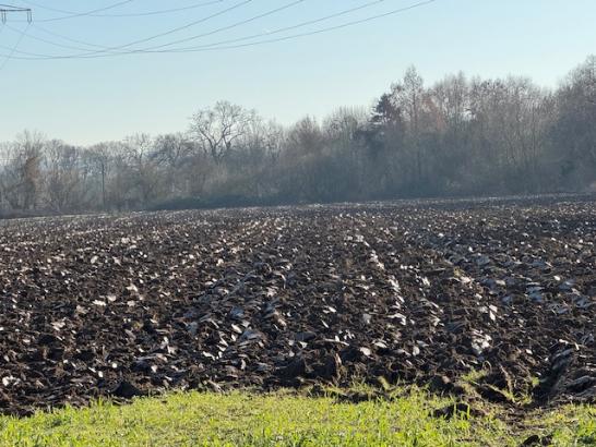 Wittwer0502 (c) Gabriela Wittwer