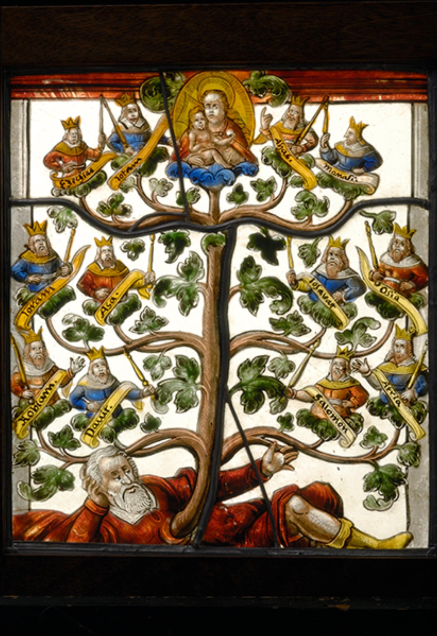 WurzelJesse (c) Vitro Search