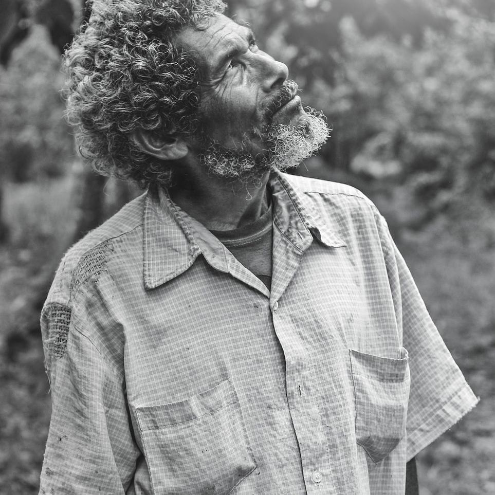 elder-4154624_1280(1)