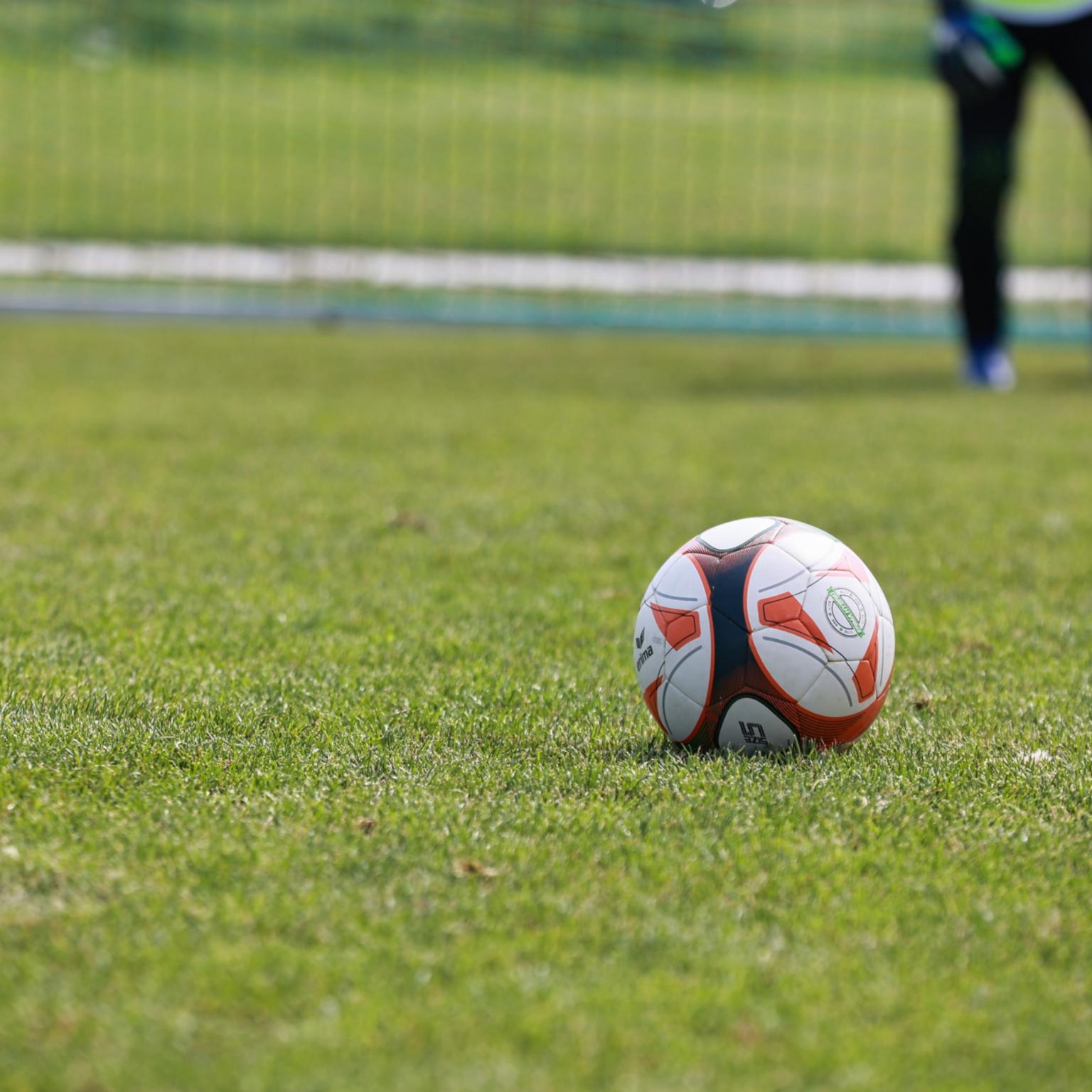 football-8926116_by__planet_fox_pixabay_pbs