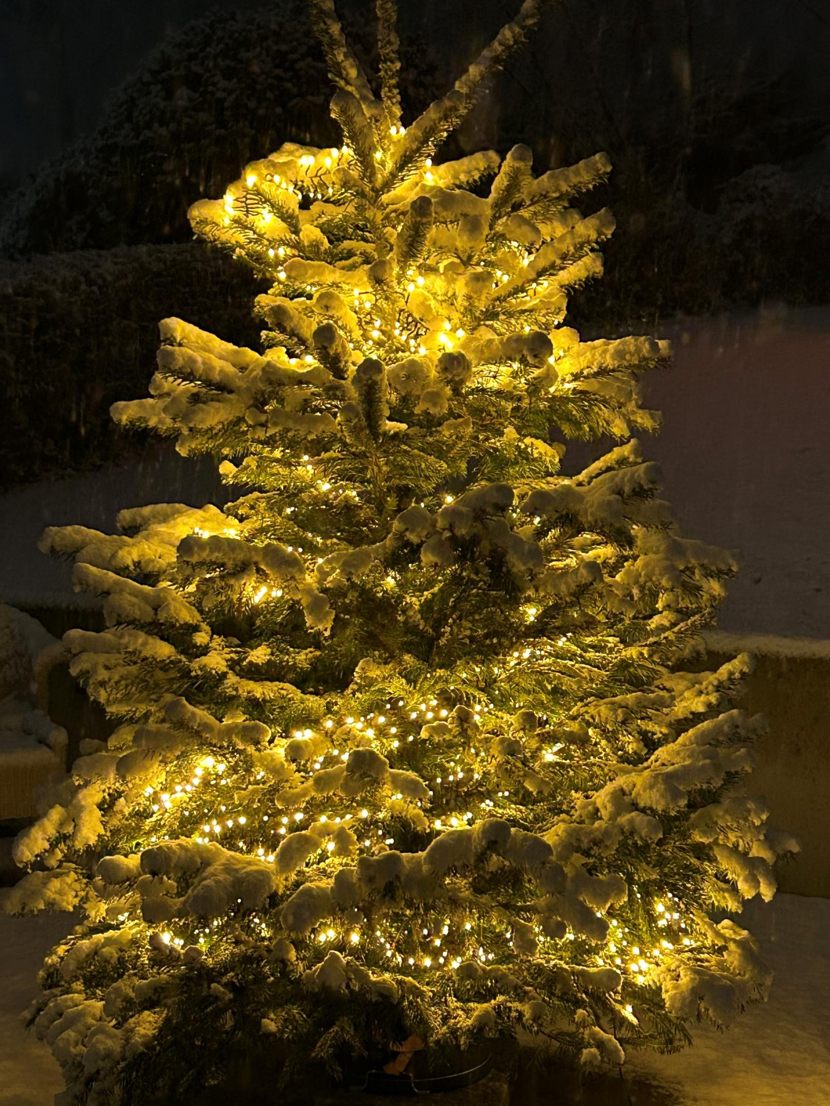 image001.jpg (c) Regina Nagel