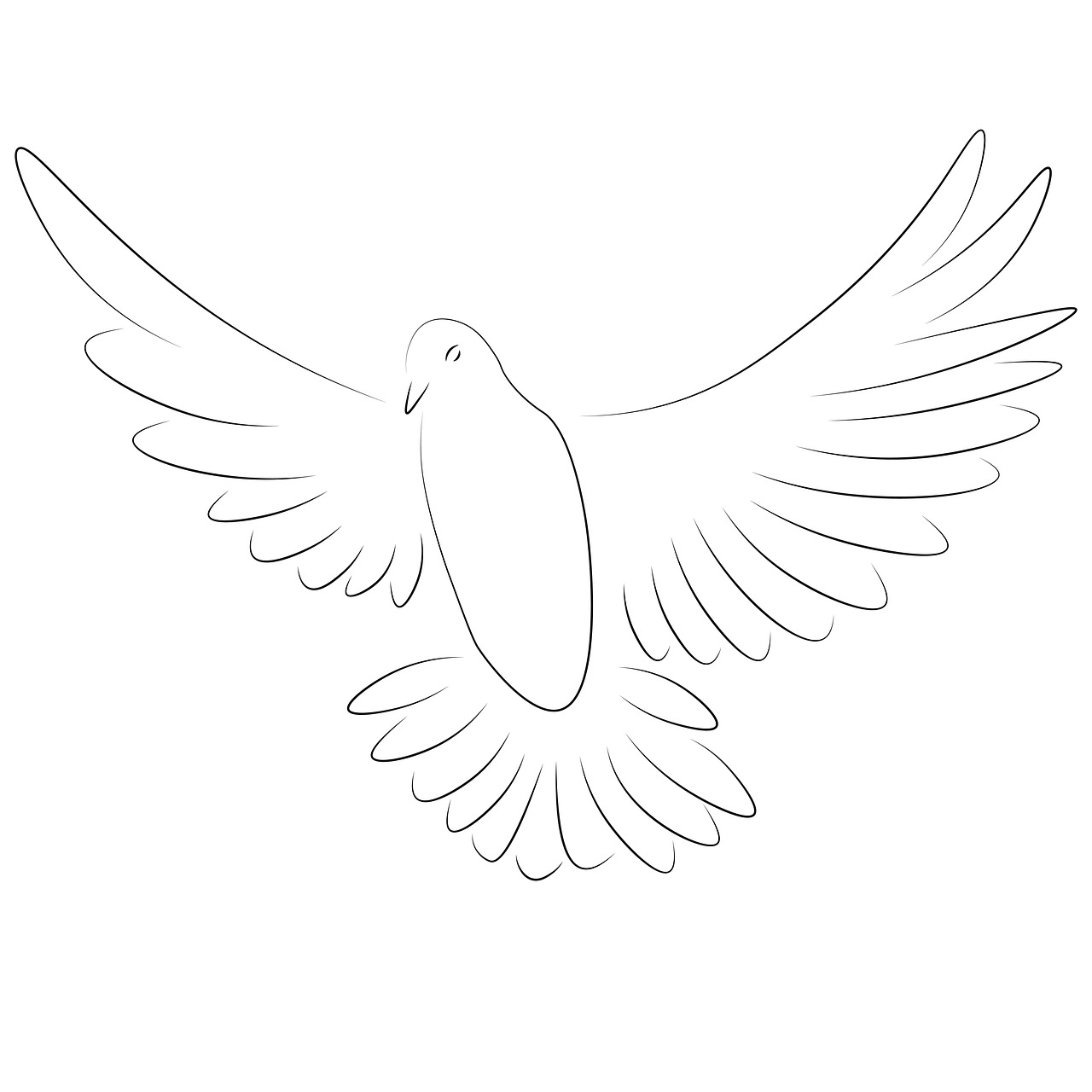 pigeon-7696772_1280
